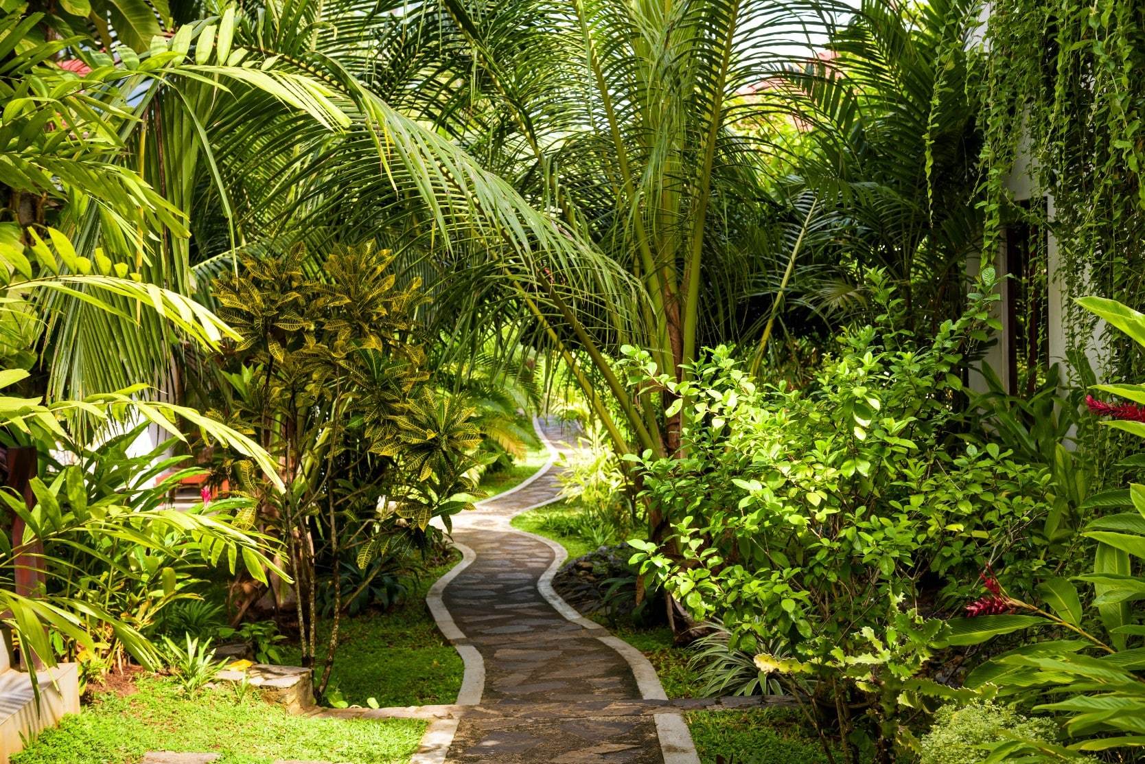Lush garden pathway at a home for sale in Florida